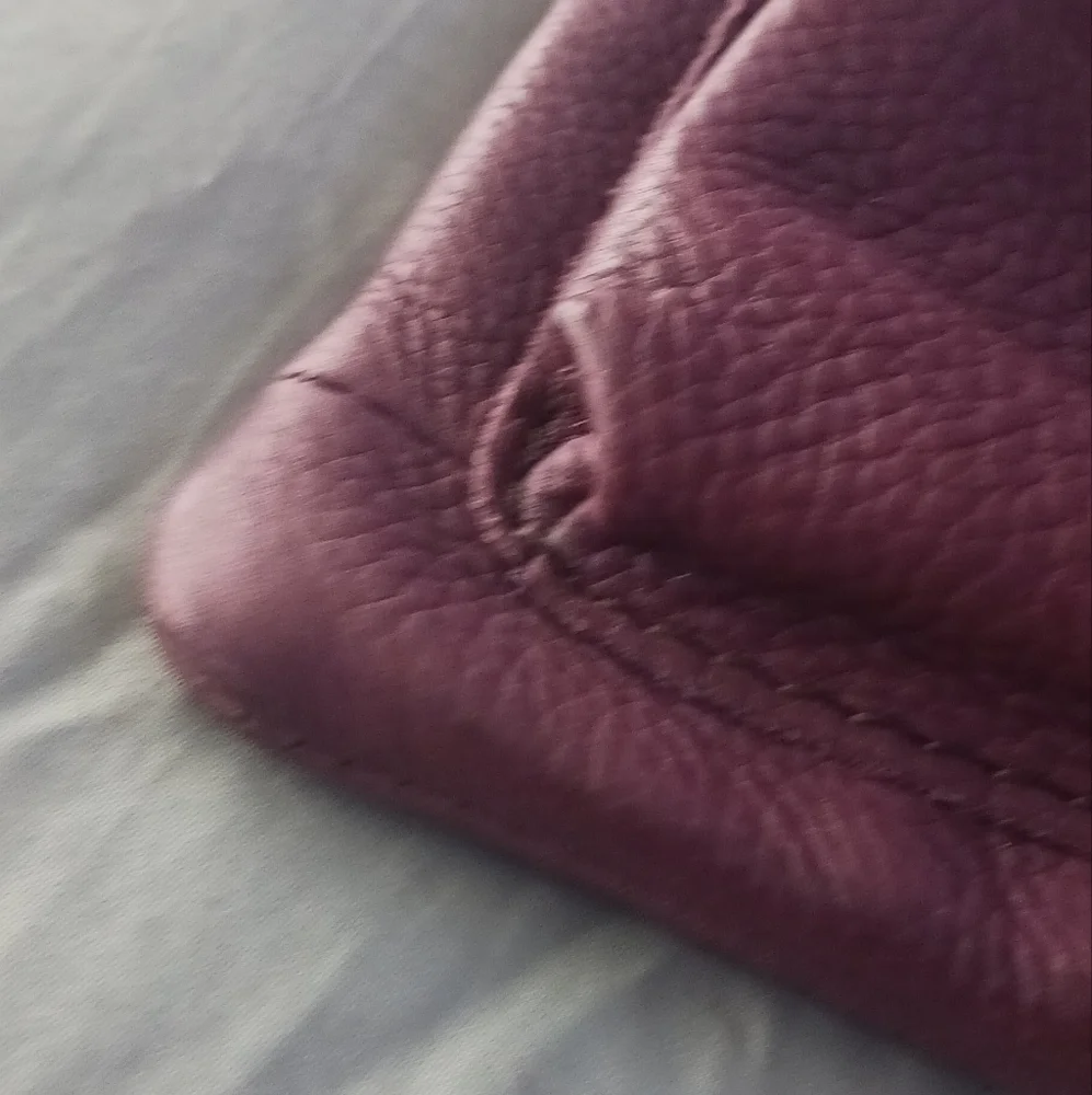 🗝️ Fossil - Picture 9 of 11